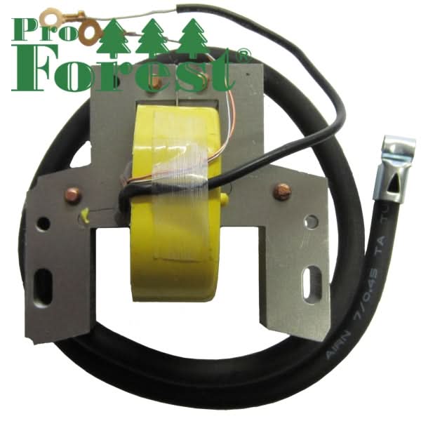 Puola Briggs & Stratton 298968