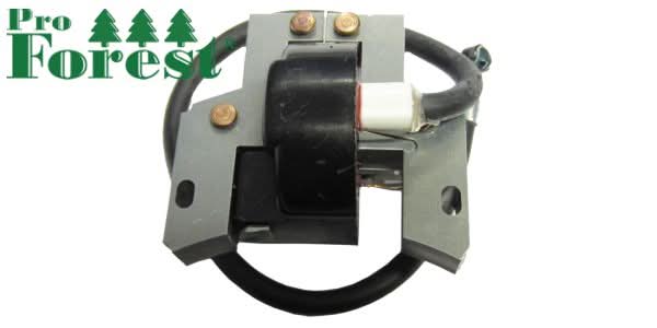 Puola Briggs & Stratton 793281