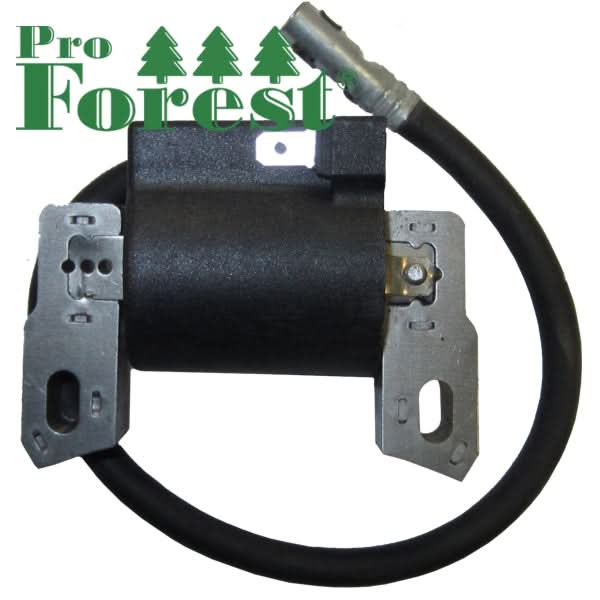 Puola Briggs & Stratton 590455