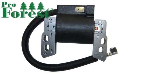 Puola Briggs & Stratton 796964