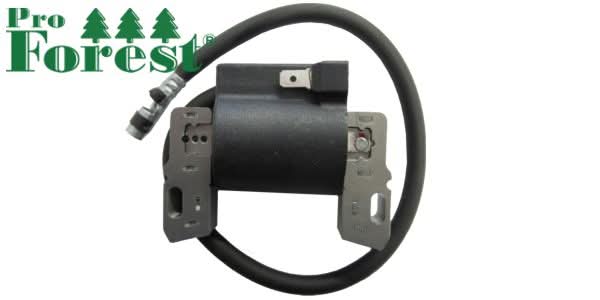 Puola Briggs & Stratton 595304, 799650