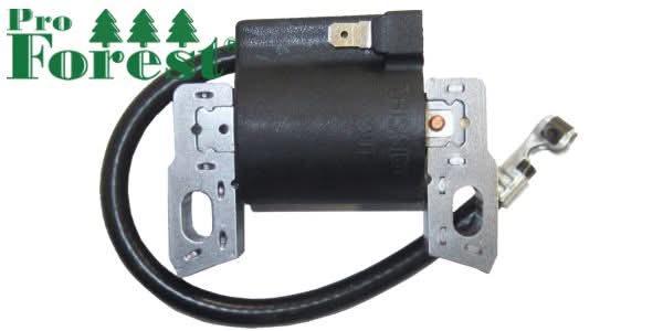 Puola Briggs & Stratton 595554, 796499