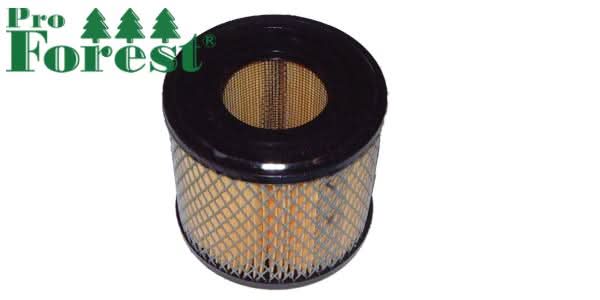 Ilmansuodatin Briggs & Stratton 393957