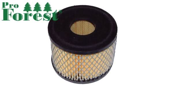 Ilmansuodatin Briggs & Stratton 390492