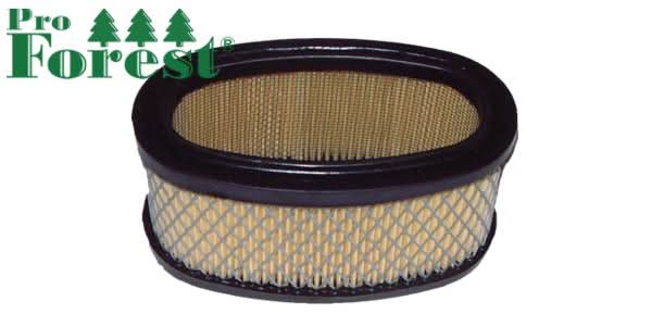 Ilmansuodatin Briggs & Stratton 393725