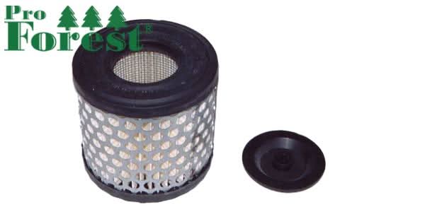 Ilmansuodatin Briggs & Stratton 396424