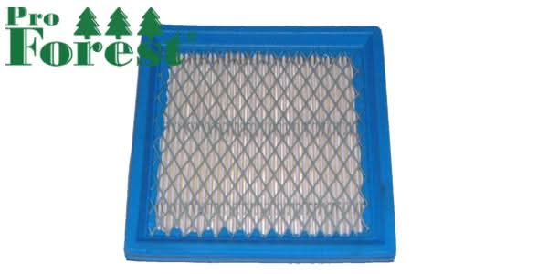 Ilmansuodatin Briggs & Stratton 399877