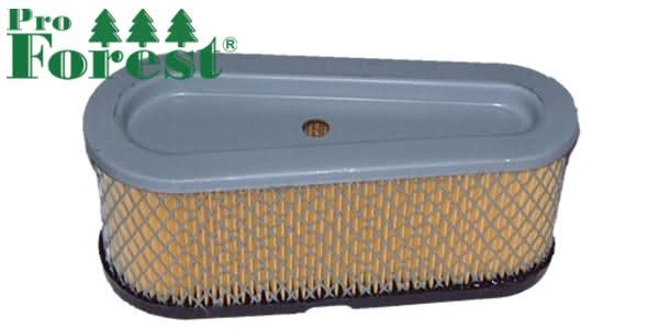 Ilmansuodatin Briggs & Stratton 496894