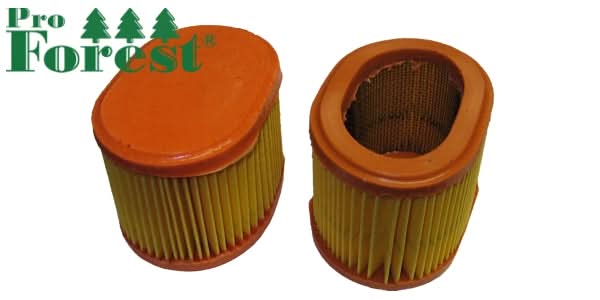 Ilmansuodatin Briggs & Stratton 790166