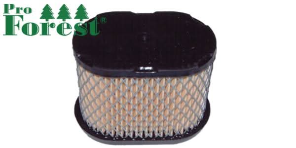 Ilmansuodatin Briggs & Stratton 697029