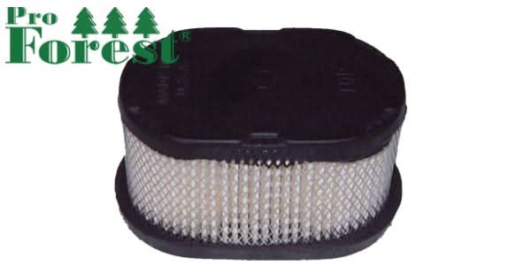 Ilmansuodatin Briggs & Stratton 497725