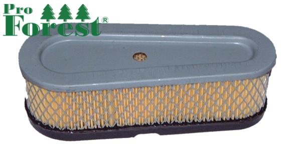 Ilmansuodatin Briggs & Stratton 493910