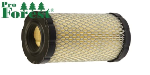 Ilmansuodatin Briggs & Stratton 793569