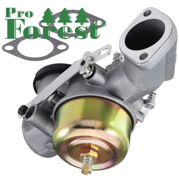 Kaasutin Briggs & Stratton #491031