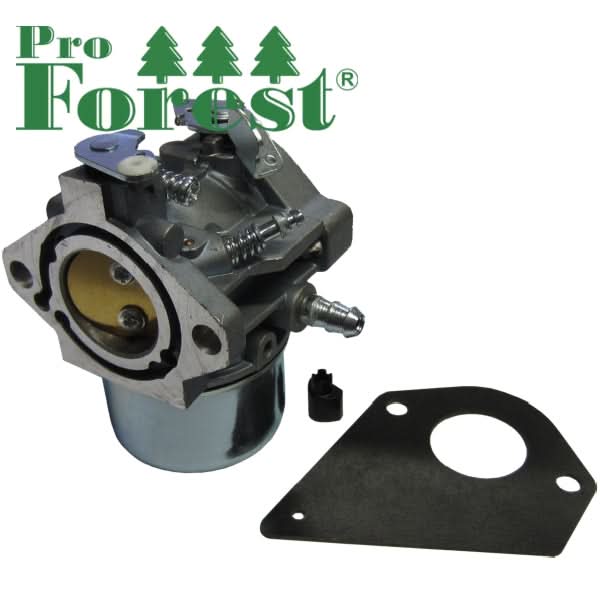 Kaasutin Briggs & Stratton 698171