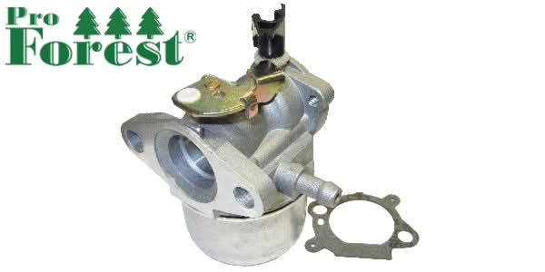 Kaasutin Briggs & Stratton 498965