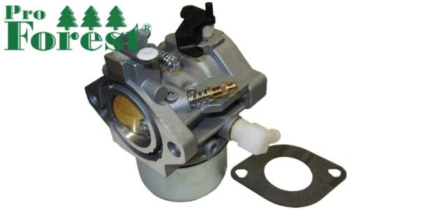 Kaasutin Briggs & Stratton 699831