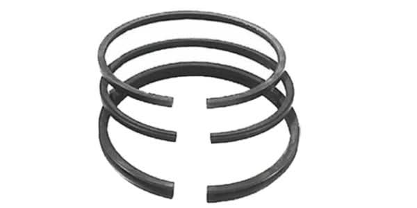 Männänrengassarja Briggs & Stratton 493261