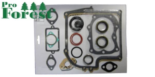 Tiivistesarja Briggs & Stratton 299577 (sis. stefat)