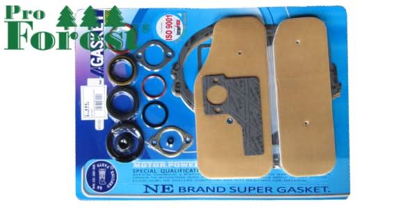 Tiivistesarja Briggs & Stratton 393411 (sis. stefat)