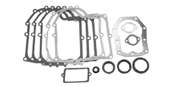 Tiivistesarja Briggs & Stratton 494241 (sis. stefat)