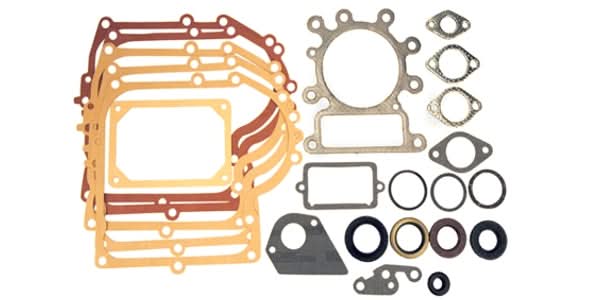 Tiivistesarja Briggs & Stratton 495993 (sis. stefat)