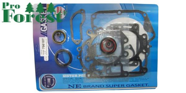 Tiivistesarja Briggs & Stratton 796187 (sis. stefat)