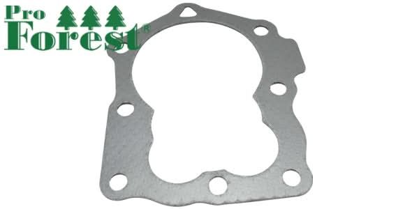 Kansitiiviste Briggs & Stratton 799875