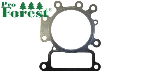 Kansitiiviste Briggs & Stratton 796584