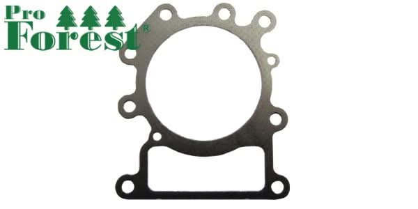 Kansitiiviste Briggs & Stratton 794114