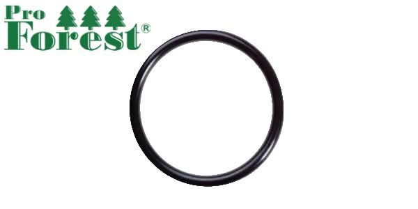 Tiiviste Briggs & Stratton 270344