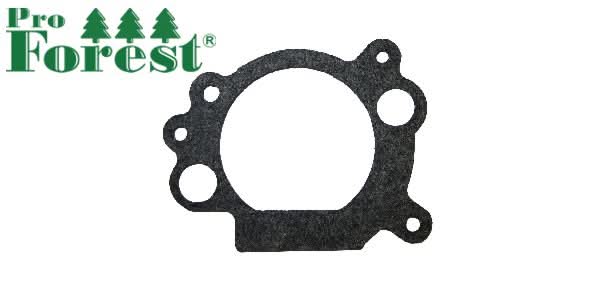 Tiiviste Briggs & Stratton 692667