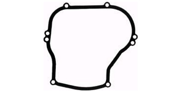 Tiiviste Briggs & Stratton 270069