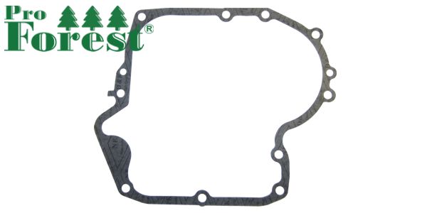 Tiiviste Briggs & Stratton 697110
