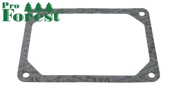 Tiiviste Briggs & Stratton 272475S