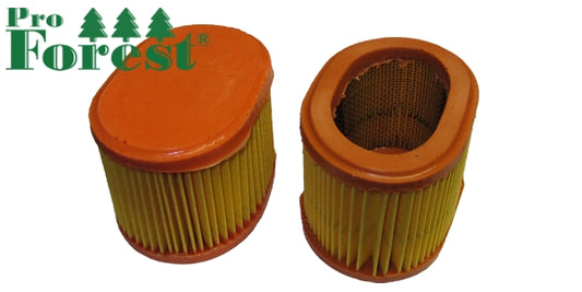 Ilmansuodatin Briggs & Stratton Oe:790166