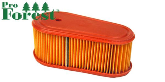 Ilmansuodatin Briggs & Stratton Oe:795066