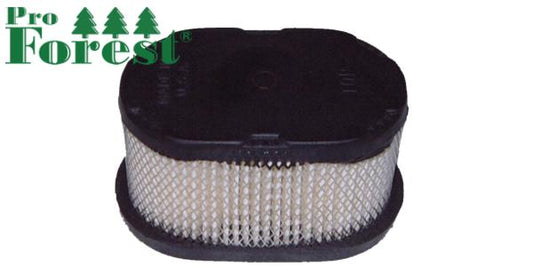 Ilmansuodatin Briggs & Stratton 497725