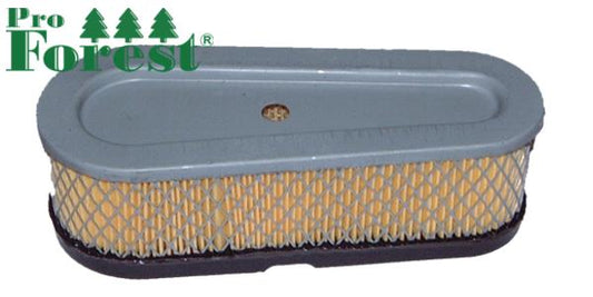Ilmansuodatin Briggs & Stratton 493910