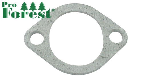 Tiiviste Briggs & Stratton 272554
